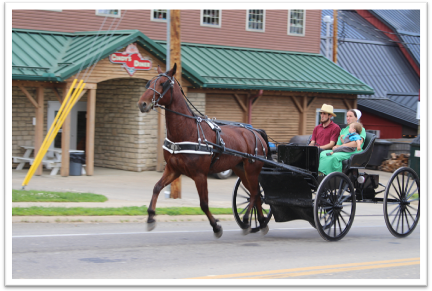 Amish: Levenswijze in beeld